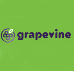 Proyecto GRAPEVINE