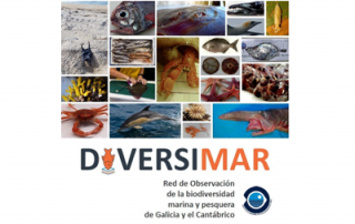 IEO e CESGA proxecto sobre Biodiversidade Marina