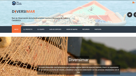 Proyecto DIVERSIMAR