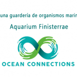 Ocean Connections Project