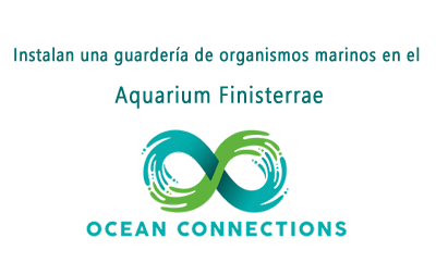 Ocean Connections Project