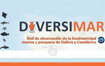 Biodiversidad marina en Galicia y Cantábrico