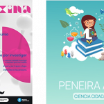 PENEIRA APP