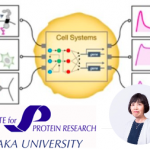 Seminar by MARIKO OKADA at CESGA