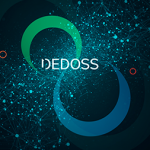 Workshop de la red de investigación DEDOSS