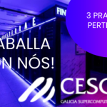 3 Plazas Perte 47